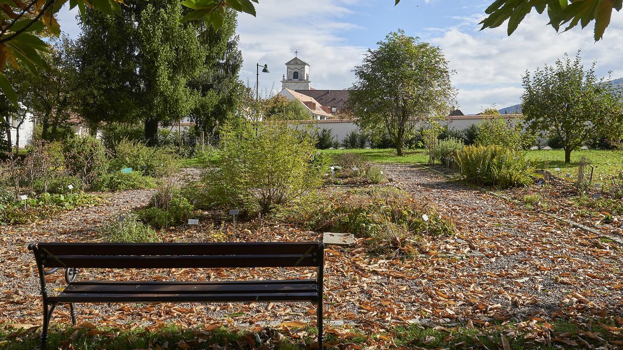 Klosterhotel Kreuz Mariastein Eksteriør bilde